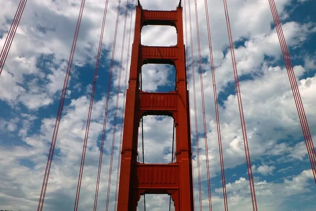 San Francisco Muir Woods and Sausalito Tour 4 hr - Image 4