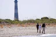 Charleston Morris Island Eco Boat Tour thumbnail 5