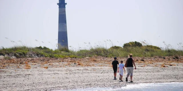 Charleston Morris Island Eco Boat Tour - Image 5
