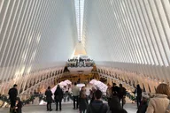 New York City Walking Tour thumbnail 3