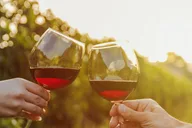 Austin Hill Country Wine Shuttle thumbnail 6