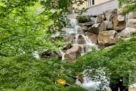 Seattle Walking Tour thumbnail 6