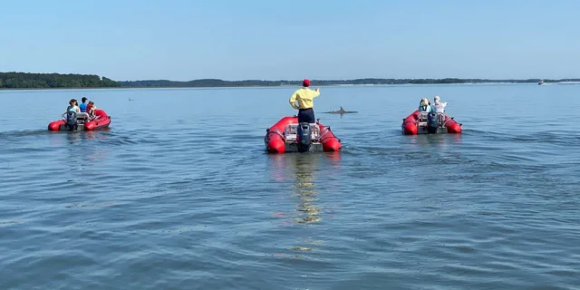 Hilton Head Mini Boat Tour to Disappearing Island - Image 5