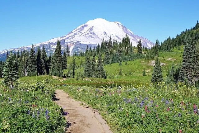 Seattle Mt Rainier National Park Private SUV Tour - Image 3