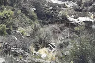 Tucson Hiking Tour in Starr Pass and Mountains thumbnail 2