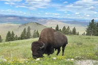 Flathead Lake Scenic Driving Tour thumbnail 4