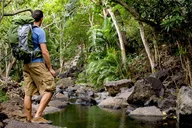 Kauai Wailua Valley & Waterfalls Audio Tour thumbnail 6