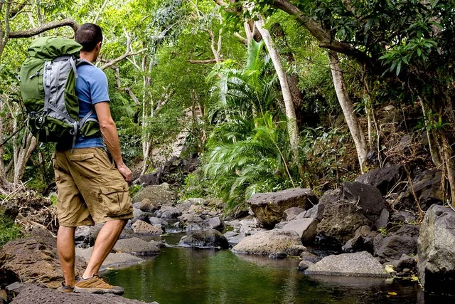 Kauai Wailua Valley & Waterfalls Audio Tour - Image 6