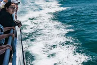 Cape May Whale and Dolphin Watching Cruise thumbnail 6