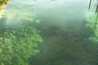Vortex Springs Day Adventure thumbnail 2