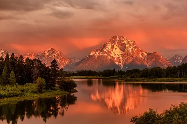 Grand Teton National Park Half-Day Tour with Picnic - Image 1