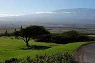 Maui Rainforest Valley Tour thumbnail 4