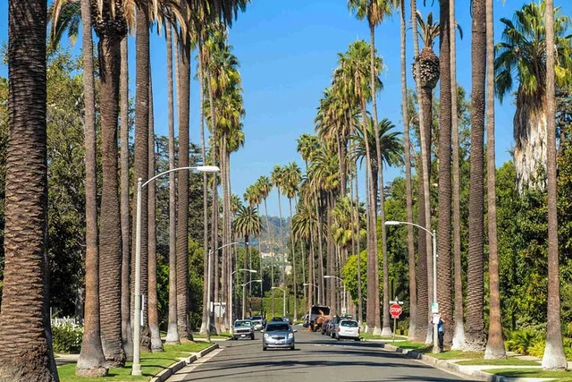 Los Angeles Limo Tour - Image 2