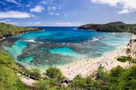 Honolulu Snorkeling at Hanauma Bay thumbnail 1