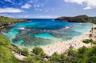 Honolulu Snorkeling at Hanauma Bay