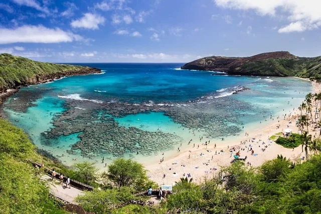Honolulu Snorkeling at Hanauma Bay - Image 1