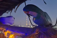 San Diego Tiki Jazz Cruise at Night thumbnail 3