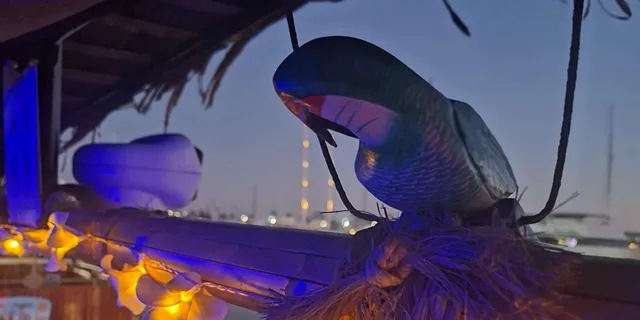 San Diego Tiki Jazz Cruise at Night - Image 3