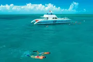 Key West Snorkeling Tour: Double Dip Reef Adventure thumbnail 6