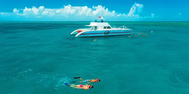 Key West Snorkeling Tour: Double Dip Reef Adventure - Image 6