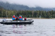 Ketchikan Ocean Wilderness Expedition thumbnail 2