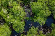 Miami Clear Kayak Eco Tour thumbnail 2