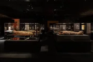Houston Museum of Natural Science Admission thumbnail 5