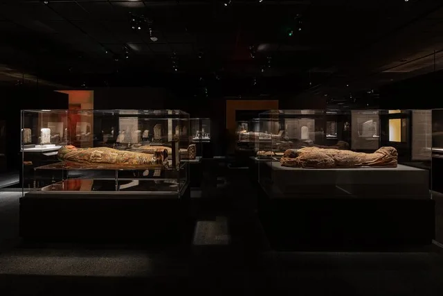 Houston Museum of Natural Science Admission - Image 5