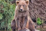 Anchorage Wildlife Conservation Center and Portage Valley Tour thumbnail 1