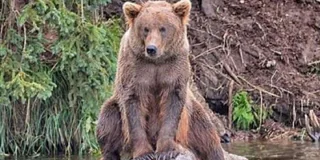 Anchorage Wildlife Conservation Center and Portage Valley Tour