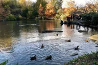 New York Central Park Virtual Tour thumbnail 5