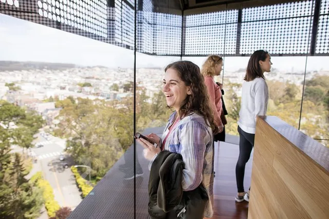 San Francisco de Young Museum Admission - Image 3