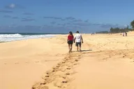 Kāne'ohe North Shore Self-Guided Driving Tour thumbnail 2