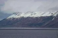 Whittier Cruise Shuttle Tour with Multiple Stops thumbnail 2