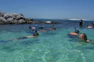 Destin Snorkeling and Eco Excursion thumbnail 2