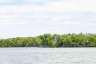 Naples 10,000 Islands Boat and Wildlife Tour 3 hr thumbnail 3