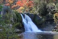 Gatlinburg Cades Cove Self-Guided Audio Tour thumbnail 1