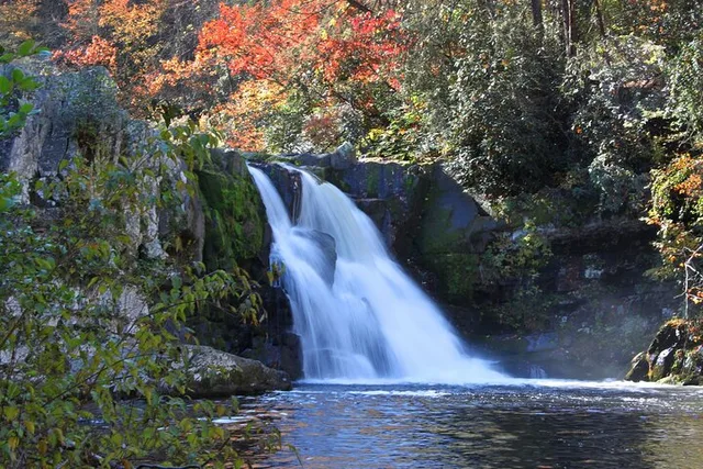 Gatlinburg Cades Cove Self-Guided Audio Tour - Image 1