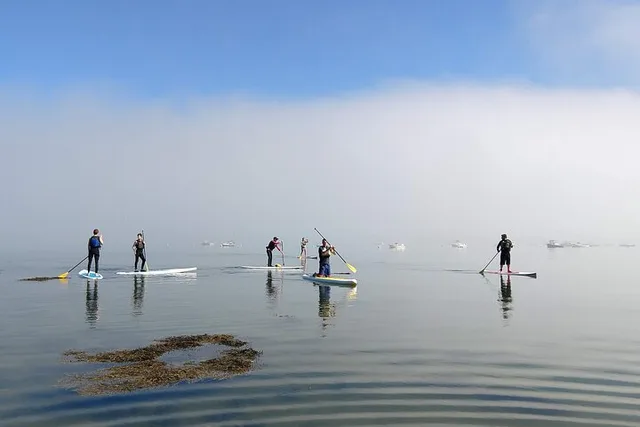 Portland Stand-Up Paddle Tour at Sunset 90 min - Image 3
