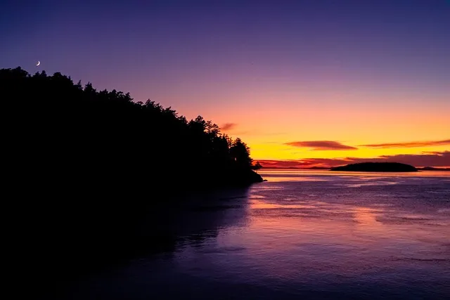 San Juan Islands Bioluminescence Kayak Tour - Image 5