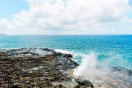 Kauai Canyons & Coastlines Tour thumbnail 6
