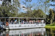 New Orleans Swamp and Bayou Alligator Tour thumbnail 2