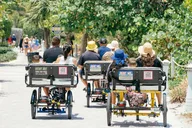 Miami Electric Bike Rental thumbnail 3
