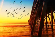 Myrtle Beach Professional Photo Shoot thumbnail 5