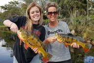 Key Largo Peacock Bass Fishing Trip thumbnail 5