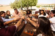 Livermore Valley Wine Tour thumbnail 1