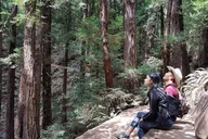 San Francisco Muir Woods and Sausalito Guided Tour thumbnail 6