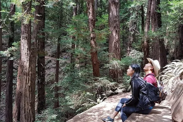 San Francisco Muir Woods and Sausalito Guided Tour - Image 6