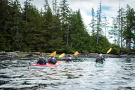 Ketchikan Kayak Tour with Boat Launch thumbnail 6