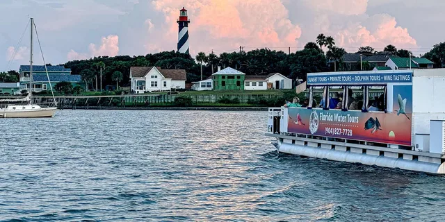 St. Augustine Dolphin and Wildlife Eco Adventure - Image 6